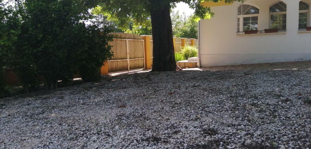 Gesztenye Vendeghaz Ságvár Exterior foto