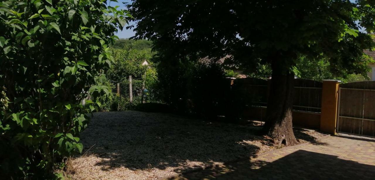 Gesztenye Vendeghaz Ságvár Exterior foto