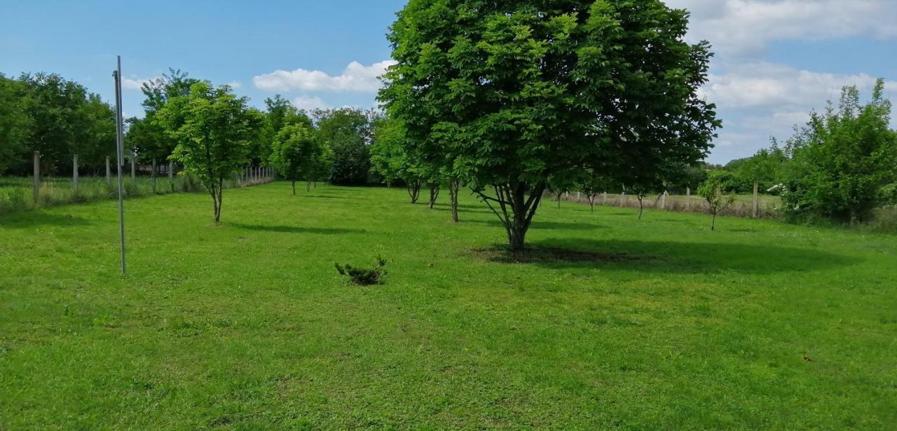 Gesztenye Vendeghaz Ságvár Exterior foto